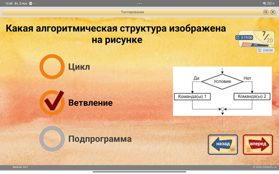 Отображается один из вопросов теста